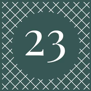 23